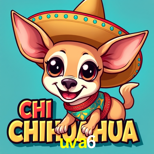 Responsive Design uva6